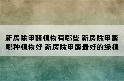 新房除甲醛植物有哪些 新房除甲醛哪种植物好 新房除甲醛最好的绿植